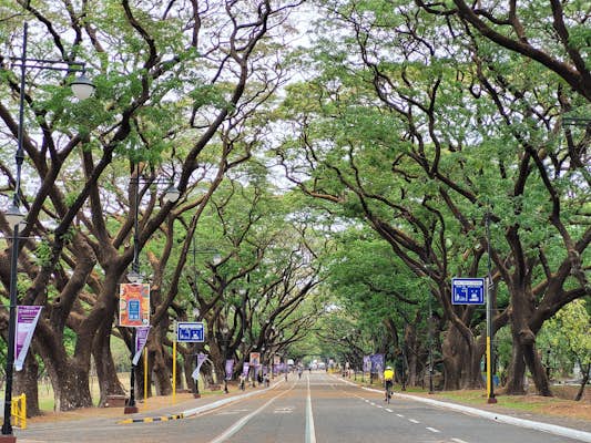 01. UP Diliman Campus Academic Oval