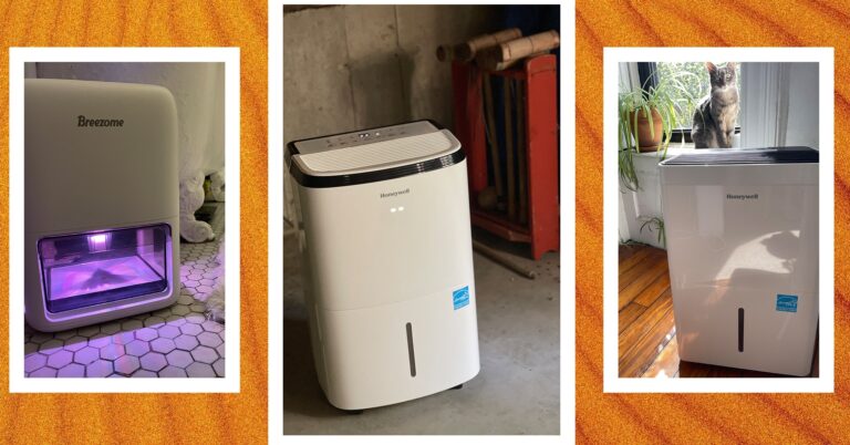 Best20Dehumidifiers20Reviewer20Collage2009202420SOURCE20Lisa20Wood20Shapiro