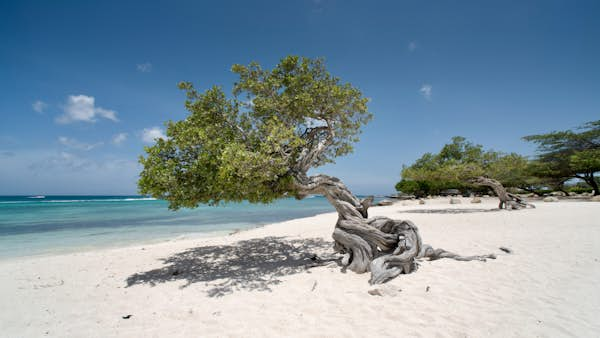 Eagle Beach Aruba Federico Cabello GettyImages 877118298 RFC cropped