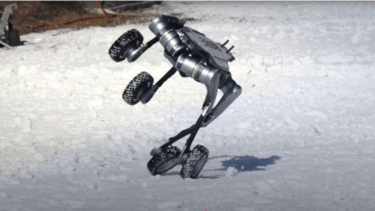 1 wheeled wonder robot dog shows off crazy dance moves in all kinds of tough terrain