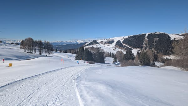 Alpe de Siusi