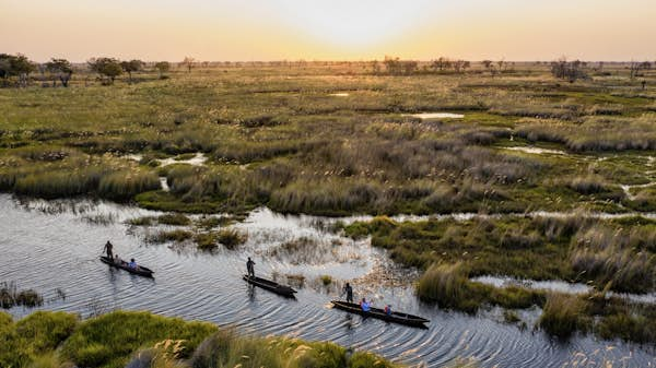 Botswana Okavango Martin Harvey GettyImages 1372492389 RFE cropped